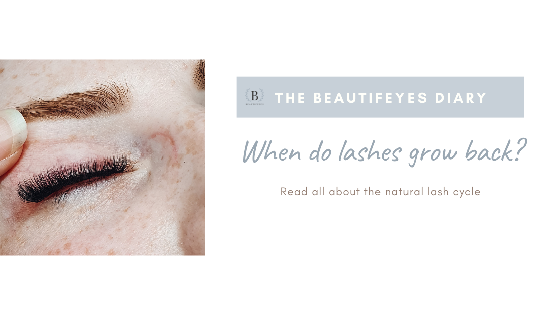 When do lashes grow back? - Beautifeyes Studio